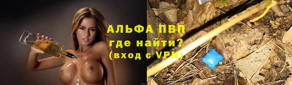 СК Белокуриха